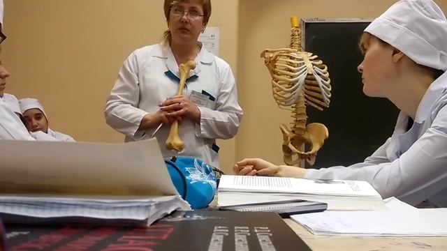 Тазобедренный сустав смотреть онлайн