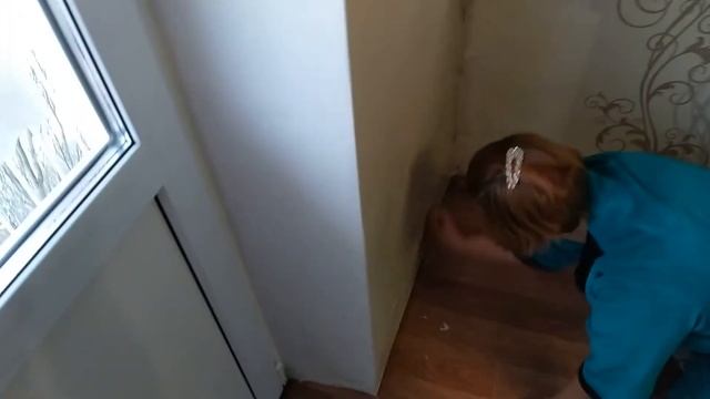 Строительные Прогнозы