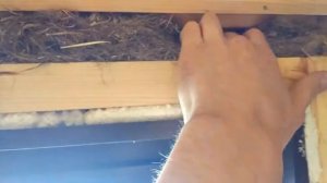 Проблема окон, в деревянном доме, дует из окна.