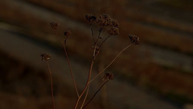 01 Тольятти HDR 4k смотреть онлайн