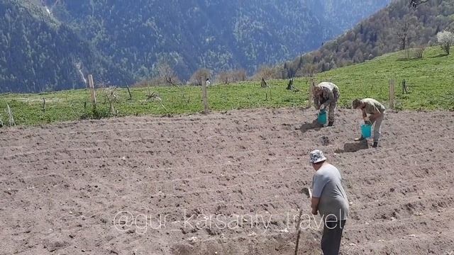 Кусджыта родина Гаглоевых! Южная Осетия! смотреть онлайн