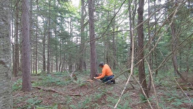 DEAD MAN WALKING: ANOTHER IDIOT YOUTUBE LOGGER #2 смотреть онлайн