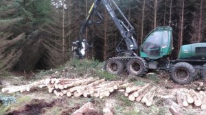 Харвестерная головка AFM 55 на колесном харвестере Silvatec