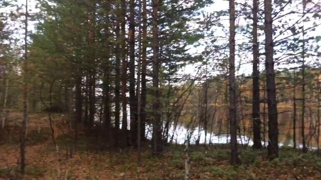 Север , Покачи , Рыбалка , Щука, ХМАО смотреть онлайн