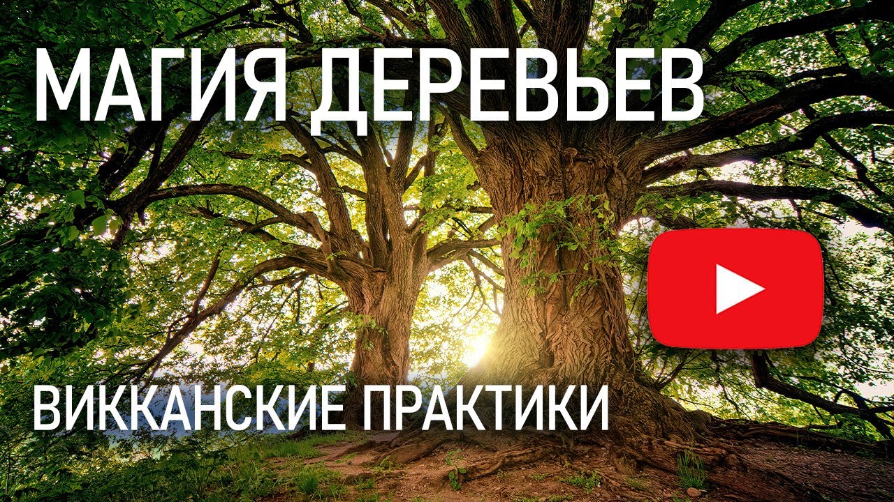 Как деревья участвуют в магии. Практики для улучшения здоровья, снятия стресса и депрессии.