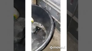 Маслоотделитель Фольцваген Шкода актавия а5 Так ещё не кто его не разбирал.