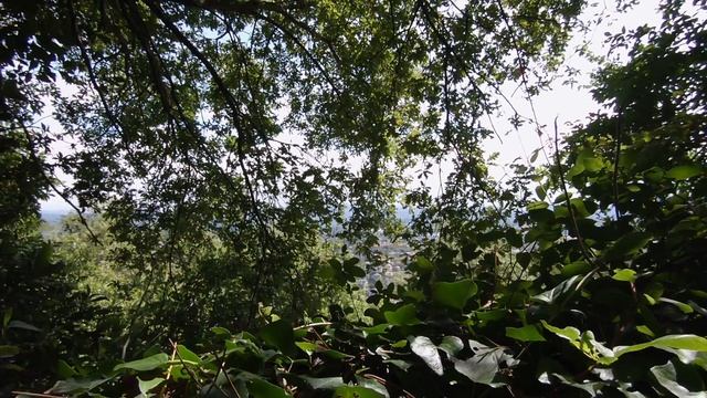 My Zeiss Super Ikonta folding camera - Zeiss + GoPro POV landscape photography смотреть онлайн