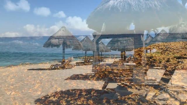 МЕКСИКА. ПРИРОДА. САМЫЕ КРАСИВЫЕ ПЛЯЖИ. смотреть онлайн
