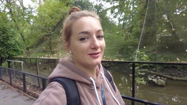 Зоопарк в Варшаве | Пингвины, слоны, жирафы, верблюды и многие другие животные смотреть онлайн