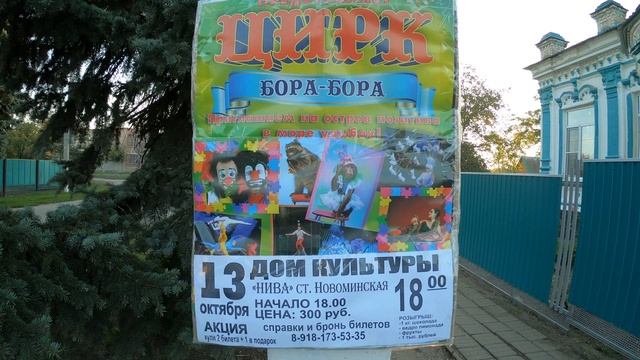 Новоминская | Цирк приехал | Ещё клоунов оставят смотреть онлайн