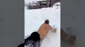 Дайте похмелится