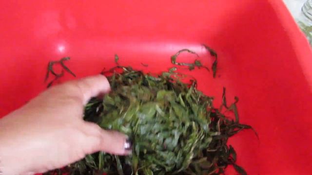 Вегетарианские Рестораны