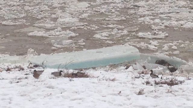 Река Уж зимой смотреть онлайн