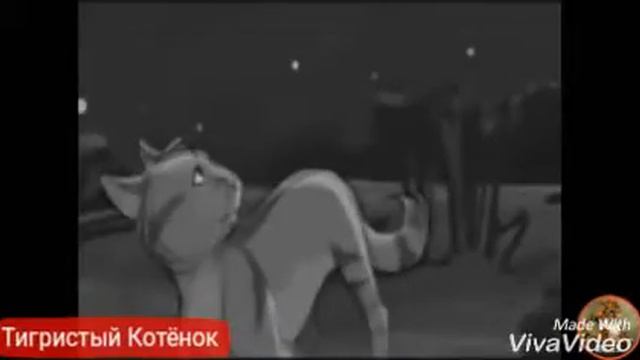 Коты-Воители Крутобок и Серебрянка смотреть онлайн