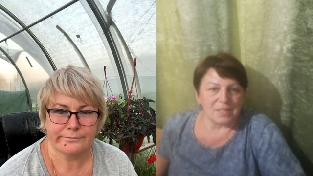 🌸Цветы для души с Людмилой. Цветочный дворик. 🌸Ох уж эти бегонии 😍 смотреть онлайн