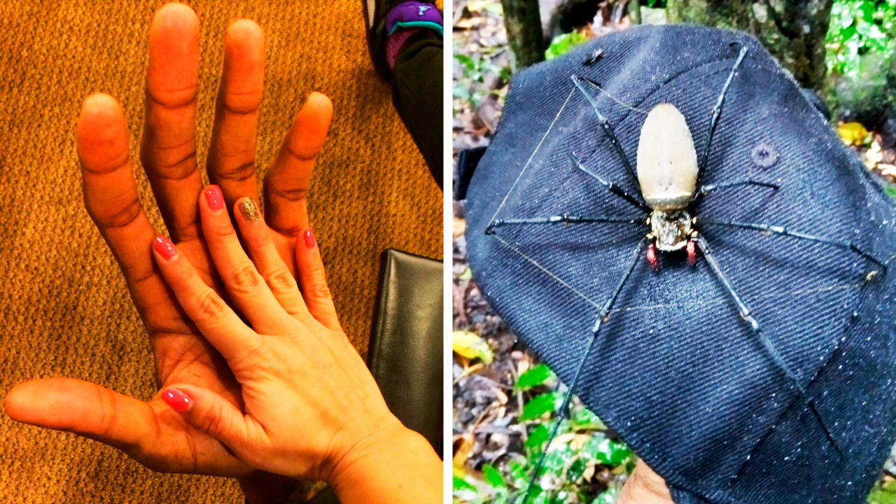 Вот это размерчик! смотреть онлайн