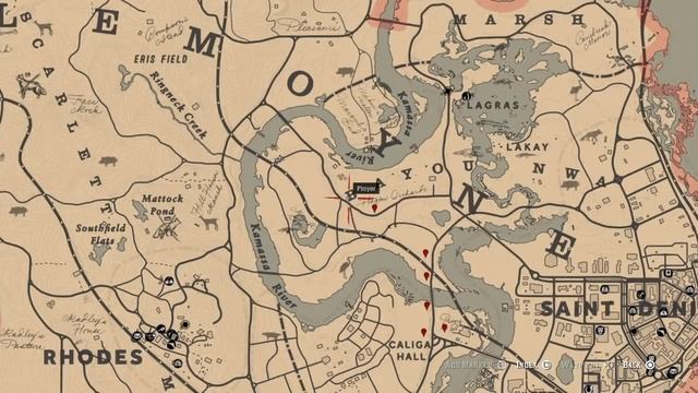 Red Dead Redemption 2: All 15 Lady Of The Night Orchids Locations смотреть онлайн