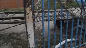 Мотороллер Муравей 2-х мостовый с 4-х метровым полуприцепом в поездке!