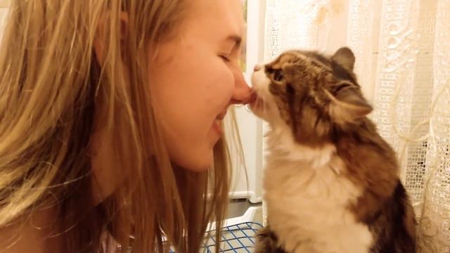 ПОЦЕЛУЙ МАМОЧКУ!😽 смотреть онлайн