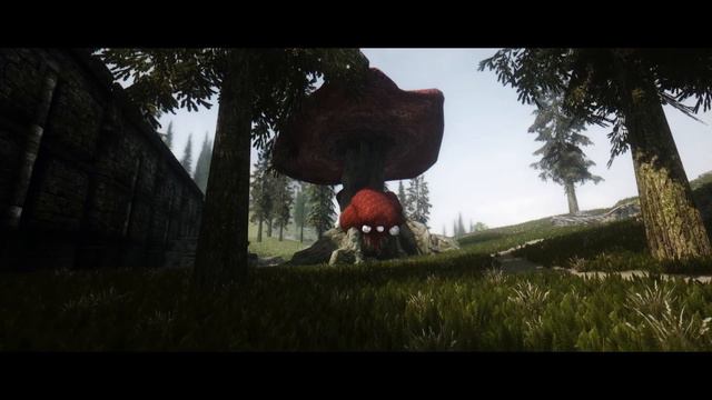 Rudy ENB Summerset Isle