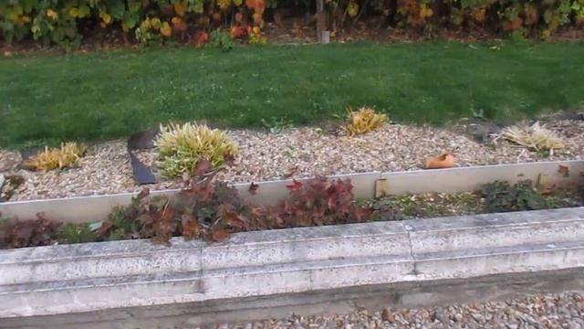 ОСЕНЬ.ОКТЯБРЬ.ДАЧА.Готовимся к зиме ч 1.Чистим.Копаем.Обрезаем.Окучиваем.... смотреть онлайн