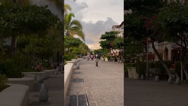 Max ? en el malecón PV смотреть онлайн