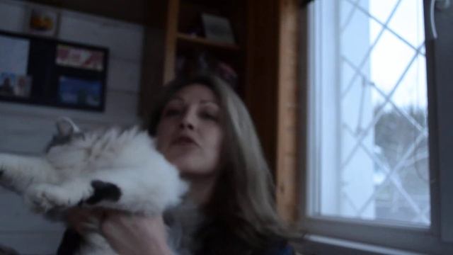 Как лечить лишай часть 2 смотреть онлайн