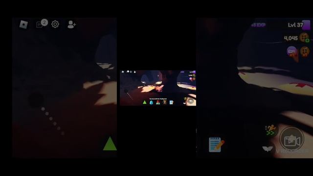 где находяться все сундуки? *для новичков*//судьба гриффина/roblox смотреть онлайн