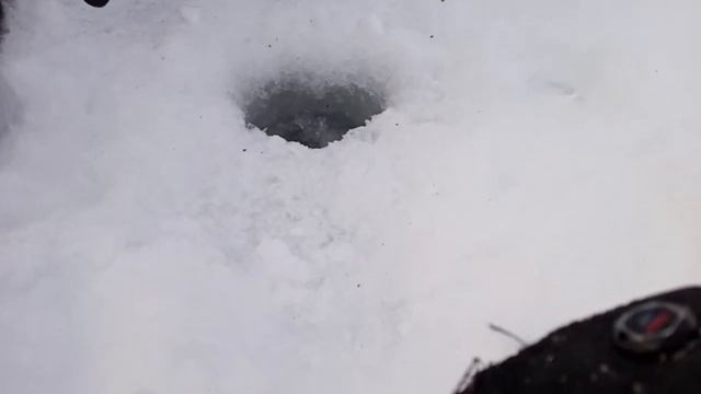 рыбалка на горной реке