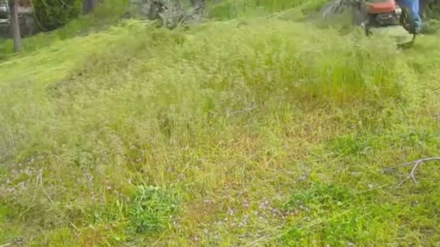 Gas Powered Wheeled String Trimmer in rapid action смотреть онлайн