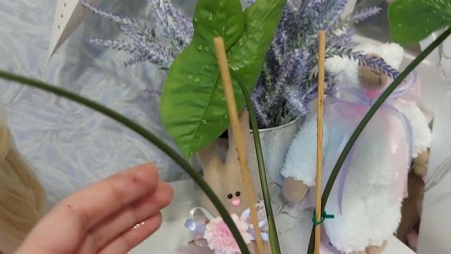 Сингониум Panda (Панда) смотреть онлайн