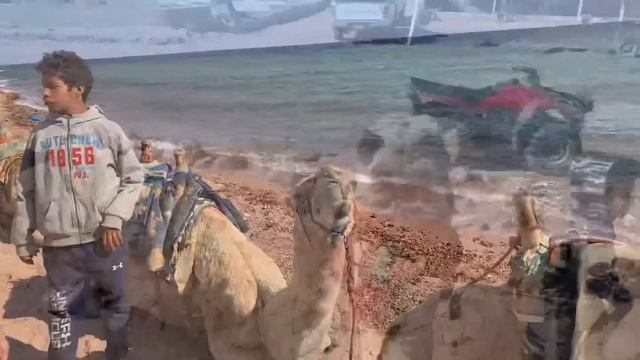 Шарм-эль-Шейх 2021! Цветной каньон. Голубая лагуна?Катание на верблюдах? Отдых в Египте зимой 2021 смотреть онлайн