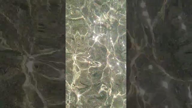 Немного маленьких рыбов Индийского океана смотреть онлайн