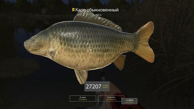 русская рыбалка 4 смотреть онлайн