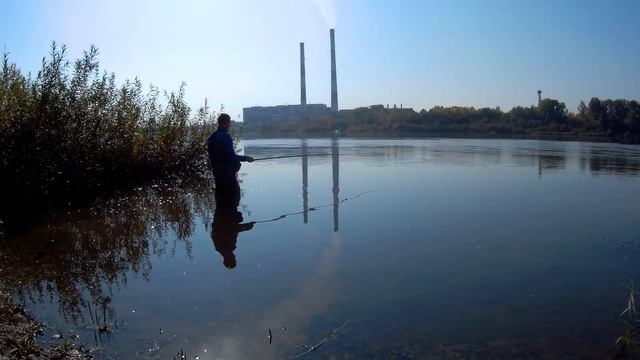 Ловля на поплавочную удочку, рыбалка для души, пробую шпроты из уклейки смотреть онлайн