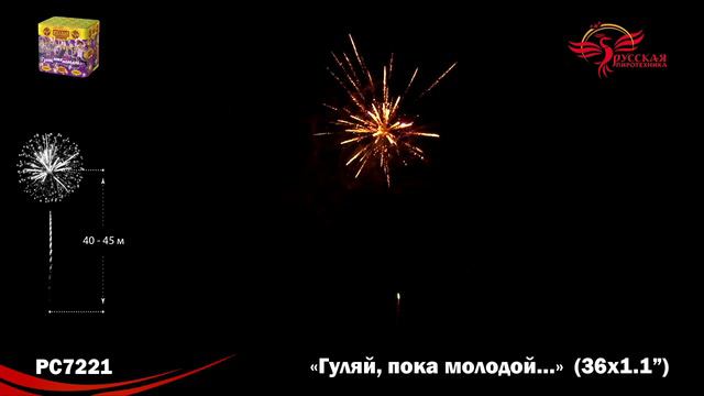 салют Гуляй пока молодой 1,1х36 PC7221 смотреть онлайн