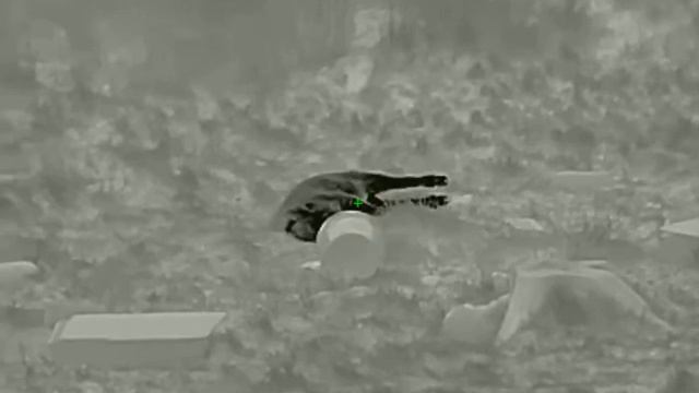 Infiray tl35-1 смотреть онлайн