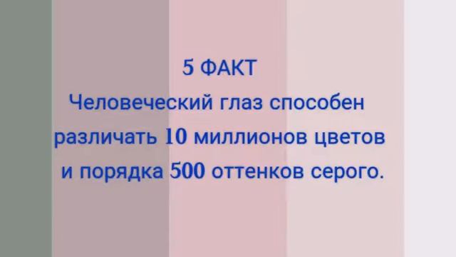 ☆ ТОП 10 ШОКИРУЮЩИХ ФАКТОВ О ЗРЕНИИ | КОМПЬЮТЕРЫ НЕ ПОРТЯТ ЗРЕНИЕ? | ЗРЕНИЕ ☆ смотреть онлайн
