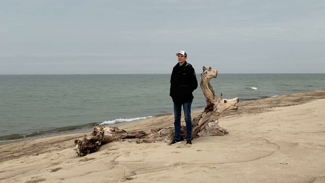 11 быков дзен. 3-й бык. Уроки медитации. Серия 3 смотреть онлайн