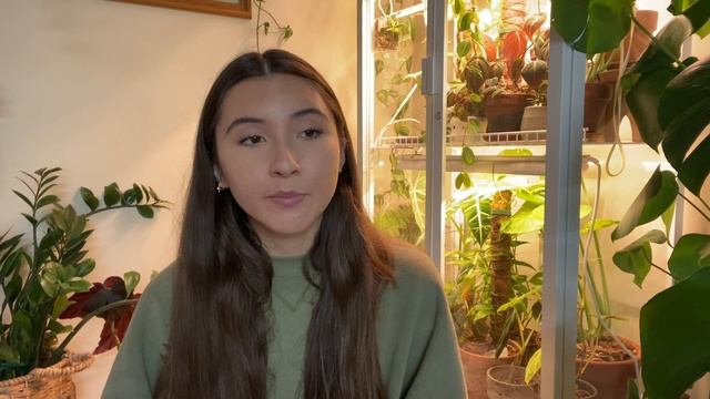 Watermelon Dischidia | Full Care Guide