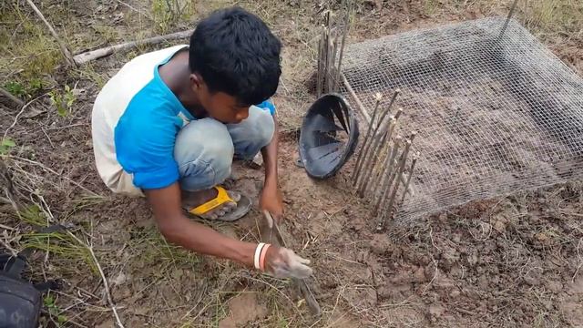 How Make trap to Catch Giant python swallows boy in my rural country - Giant Python attack Humans смотреть онлайн