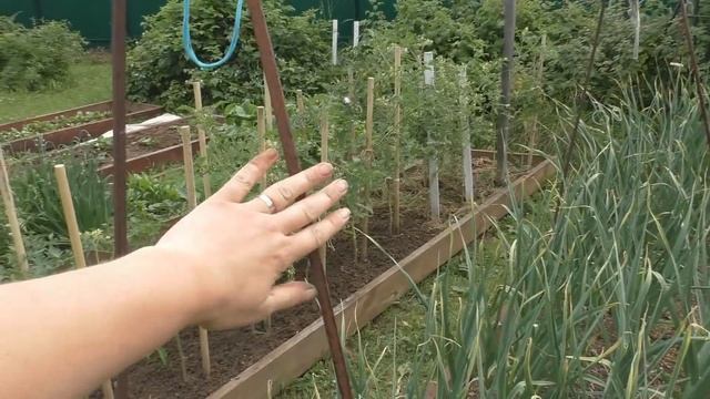 Опора для огурцов. смотреть онлайн