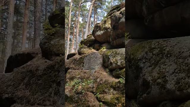 Мегалиты поселка Боровое смотреть онлайн