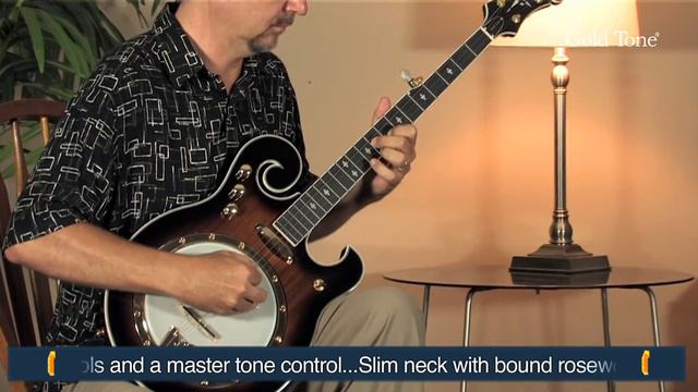 Gold Tone EBM5 Electric Banjo смотреть онлайн