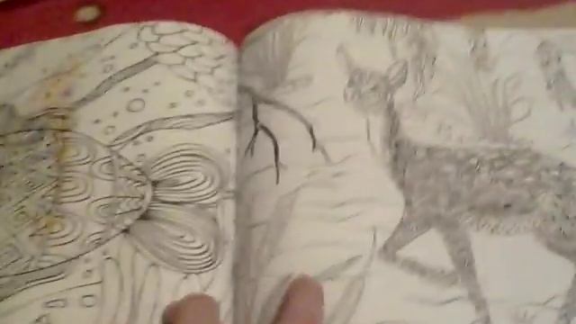 Раскраска антистресс смотреть онлайн