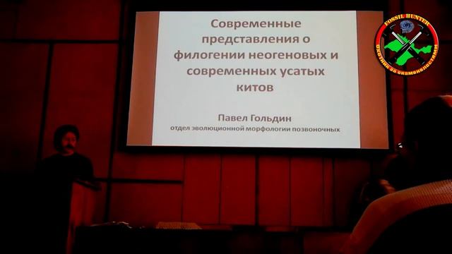 Карликовые киты Сарматского моря смотреть онлайн