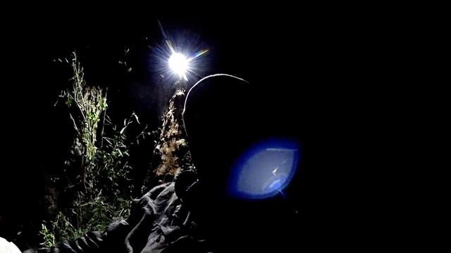 ОХОТА НА СОМА/ГОТОВИМ УЖИН И НЕДОРЫБАКИ Скажите,как таких назвать? смотреть онлайн