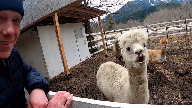 Улётные Выходные В Архызе!! смотреть онлайн