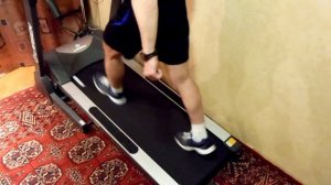 Беговая дорожка Larsen TM8460C