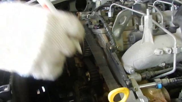 DSCN2695 смотреть онлайн